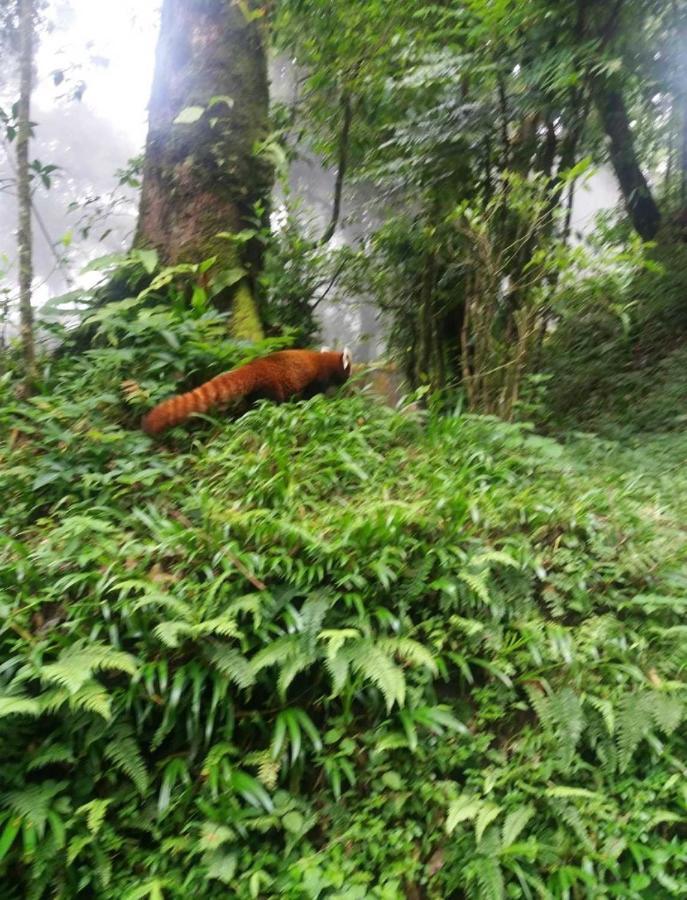Lama Hotel Lukla Esterno foto